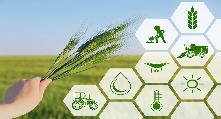 Agronexus Team